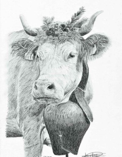 Vache avec couronne | dessin au crayon graphite | Atelier Montagn'art | Claudine Rime