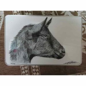 Boîte chèvre | Atelier Montagn'Art | dessin au crayon graphite | Claudine Rime