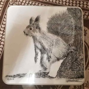 Boîte écureuil | Atelier Montagn'Art | dessin au crayon graphite | Claudine Rime