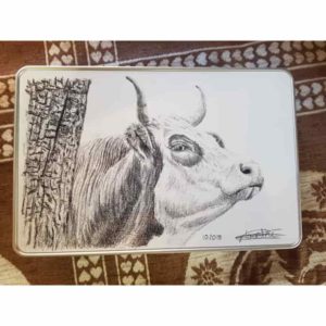 Boîte tête de vache | Atelier Montagn'Art | dessin au crayon graphite | Claudine Rime