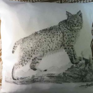 Coussin lynx | Atelier Montagn'Art | dessin au crayon graphite | Claudine Rime