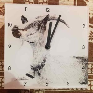 Horloge chèvre de paon | Atelier Montagn'Art | dessin au crayon graphite | Claudine Rime