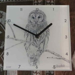 Horloge chouette sur une branche | Atelier Monatgn'Art | dessin au crayon graphite | Claudine Rime