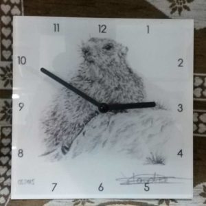 Horloge marmotte | Atelier Montagn'Art | dessin au crayon graphite | Claudine Rime