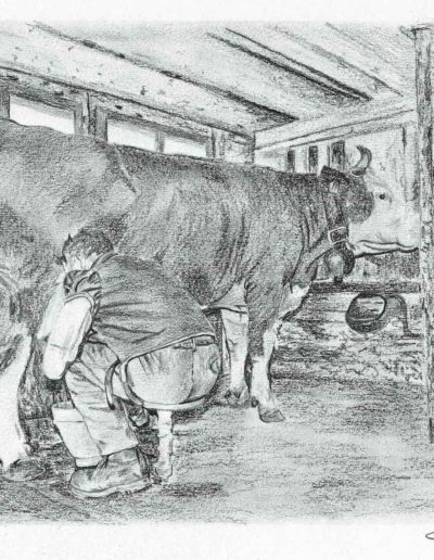 Traite d'une vache | dessin au crayon graphite | Atelier Montagn'art | Claudine Rime