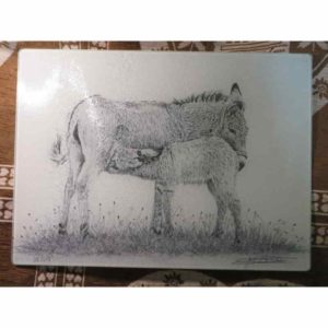 planche ânes | Atelier Montagn'Art | dessin au crayon graphite | Claudine Rime