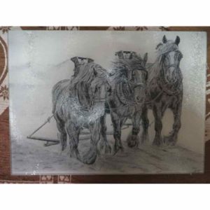planche chevaux de trait | Atelier Montagn'Art | dessin au crayon graphite | Claudine Rime