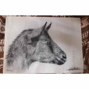 planche tête de chèvre | Atelier Montagn'Art | dessin au crayon graphite | Claudine Rime