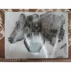 planche vache Orchidée | Atelier Montagn'Art | dessin au crayon graphite | Claudine Rime