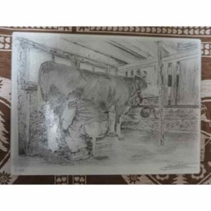 planche vache à la traite | Atelier Montagn'Art | dessin au crayon graphite | Claudine Rime