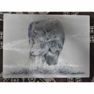 planche vache simmental | Atelier Montagn'Art | dessin au crayon graphite | Claudine Rime