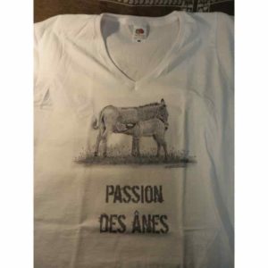 t-shirt ânes | Atelier Montagn'Art | dessin au crayon graphite | Claudine Rime