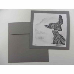 carte coq de bruyère | Atelier Montagn'Art | dessin au crayon graphite | Claudine Rime