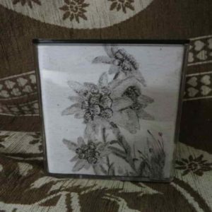 pot à crayon edelweiss | Atelier Montagn'Art | dessin au crayon graphite | Claudine Rime