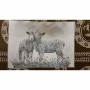 set agneaux | Atelier Montagn'Art | dessin au crayon graphite | Claudine Rime