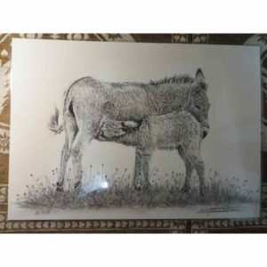 set ânes | Atelier Montagn'Art | dessin au crayon graphite | Claudine Rime