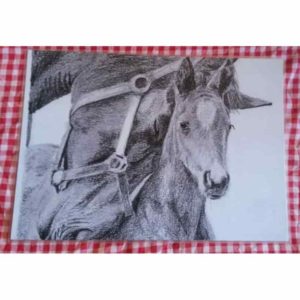 set câlin entre chevaux | Atelier Montagn'Art | dessin au crayon graphite | Claudine Rime