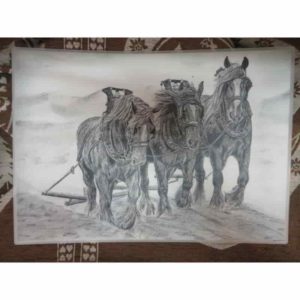 set chevaux qui labourent | Atelier Montagn'Art | dessin au crayon graphite | Claudine Rime