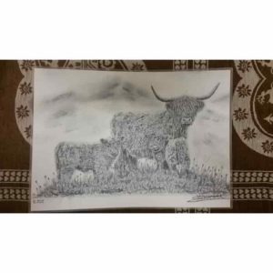 set vaches highland | Atelier Montagn'Art | dessin au crayon graphite | Claudine Rime
