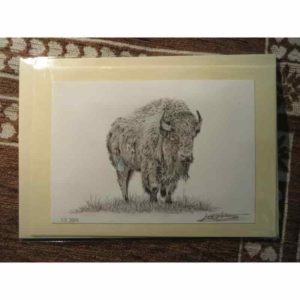 carte bison | Atelier Montagn'Art | dessin au crayon graphite | Claudine Rime