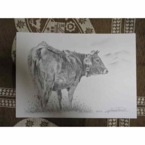 set vache grise | Atelier Montagn'Art | dessin au crayon graphite | Claudine Rime