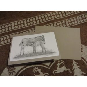 carte âne qui allaite | Atelier Montagn'Art | dessin au crayon graphite | Claudine Rime