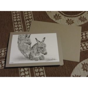 carte câlin entre ânes | Atelier Montagn'Art | dessin au crayon graphite | Claudine Rime