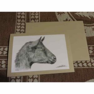 carte chèvre chamoisée | Atelier Montagn'Art | dessin au crayon graphite | Claudine Rime
