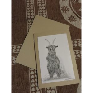 carte chèvre col noir | Atelier Montagn'Art | dessin au crayon graphite | Claudine Rime