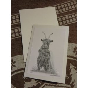 carte chèvre col noir | Atelier Montagn'Art | dessin au crayon graphite | Claudine Rime