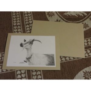 carte chèvre paon | Atelier Montagn'Art | dessin au crayon graphite | Claudine Rime