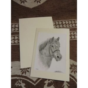 carte tête de cheval | Atelier Montagn'Art | dessin au crayon graphite | Claudine Rime