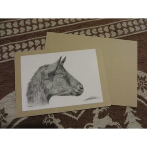 carte tête de chèvre chamoisée | Atelier Montagn'Art | dessin au crayon graphite | Claudine Rime