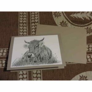 carte vache grise couchée | Atelier Montagn'Art | dessin au crayon graphite | Claudine Rime