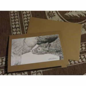 carte veau qui alaite | Atelier Montagn'Art | dessin au crayon graphite | Claudine Rime