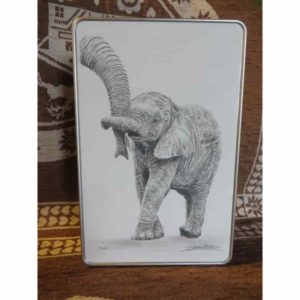 Boîte bébé éléphant | Atelier Montagn'Art | dessin au crayon graphite | Claudine Rime