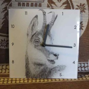 Horloge tête de chamois | Atelier Monatgn'Art | dessin au crayon graphite | Claudine Rime