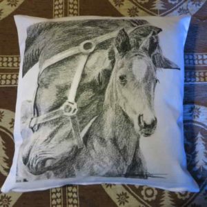 Coussin câlins entre chevaux | Atelier Montagn'Art | dessin au crayon graphite | Claudine Rime