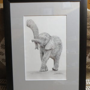 Tableau bébé éléphant | Atelier Monatgn'Art | dessin au crayon graphite | Claudine Rime